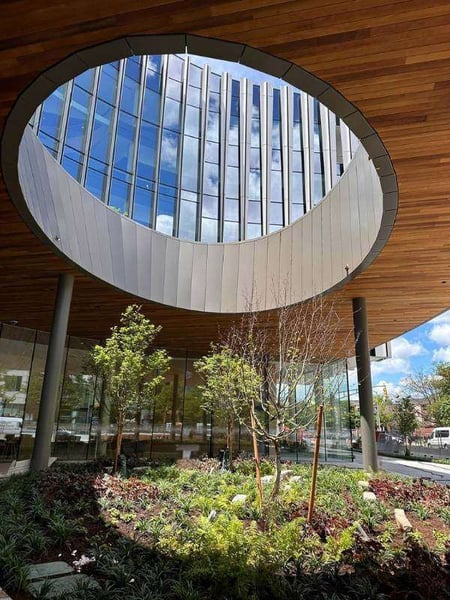 ThermaWood FR Wood Ceiling Soffit 1n entryway at Ragon institute photo courtesy of T. J. McCartney, Inc.  tjminc.com