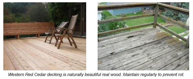 Western red cedar wood decking is beautiful. Maintain regularly to prevent rot