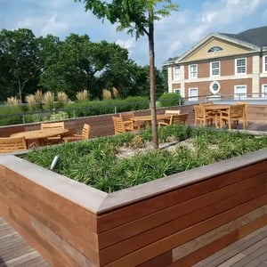 ipe-planter-on-rooftop-deck-adelphi-university